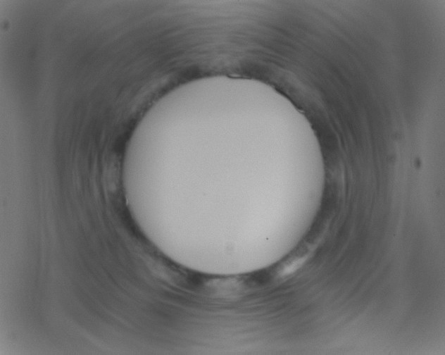 X0000078300133200612011844