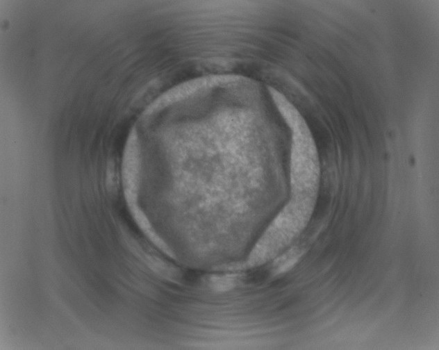 X0000078300134200612011844