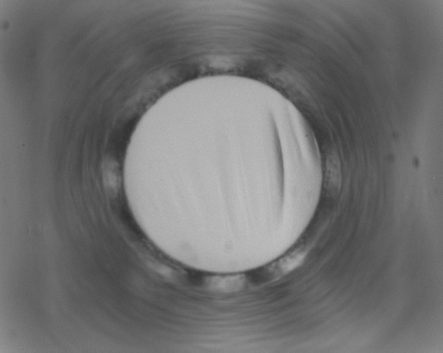 X0000078300135200612011844