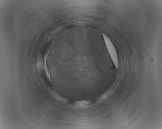 X0000078300137200612011844