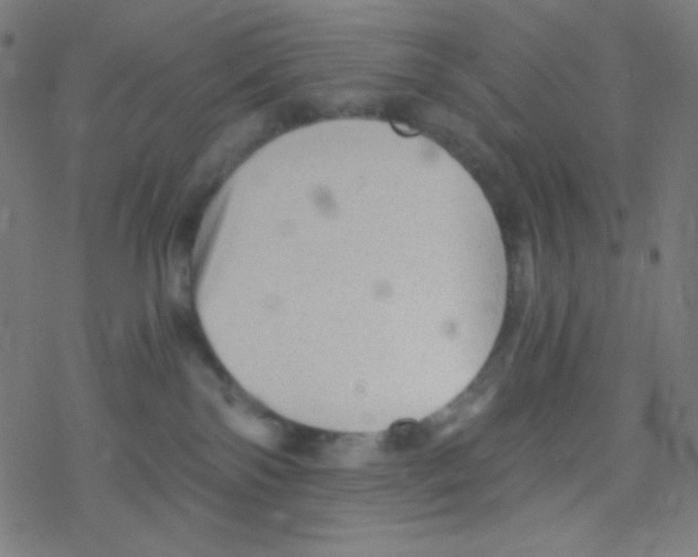 X0000078300138200612011844