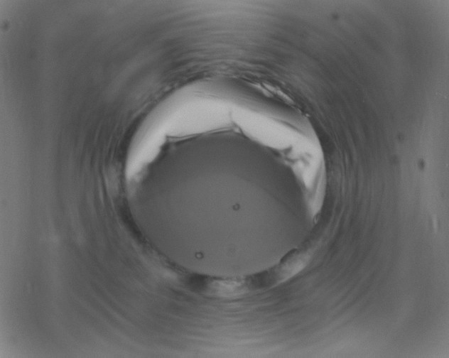 X0000078300139200612011844