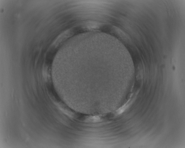 X0000078300140200612011844