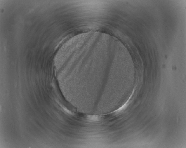 X0000078300144200612011844