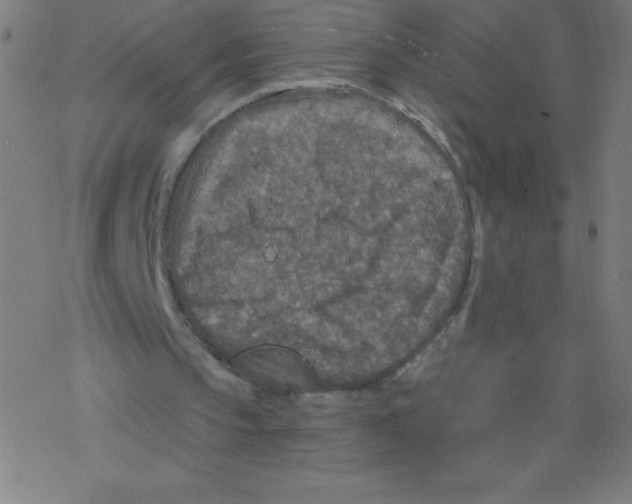 X0000078300145200612011843