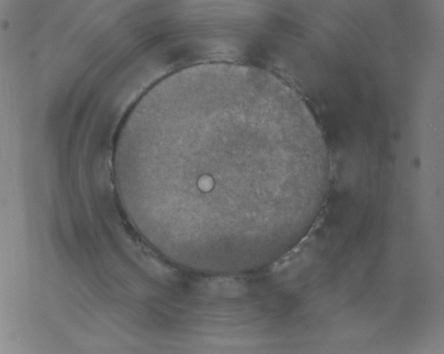 X0000078300146200612011843