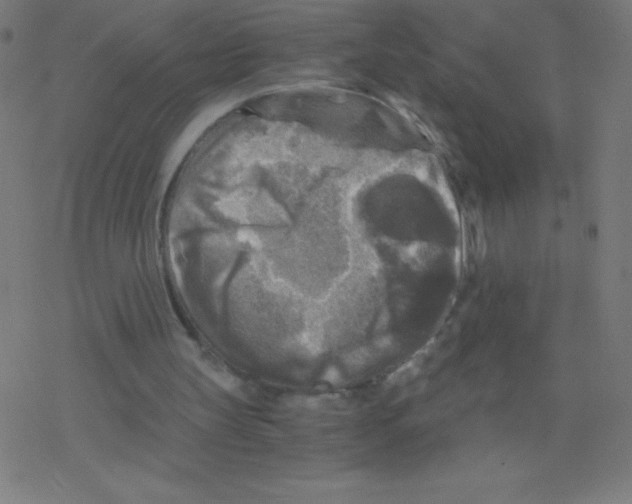 X0000078300147200612011843