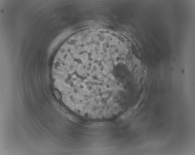 X0000078300149200612011843