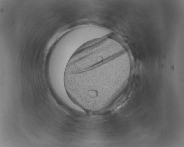 X0000078300150200612011843