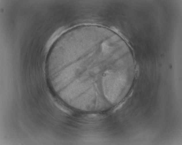 X0000078300151200612011843