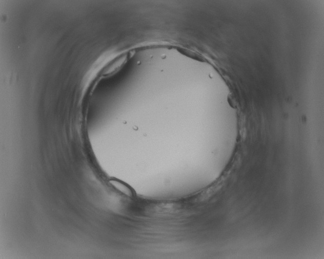 X0000078300152200612011843