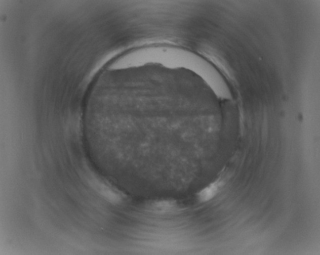 X0000078300156200612011843