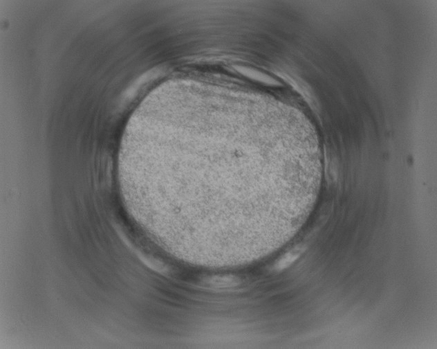 X0000078300157200612011843