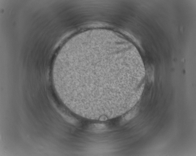 X0000078300159200612011843