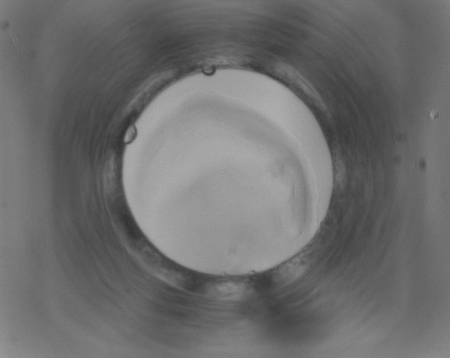 X0000078300163200612011843