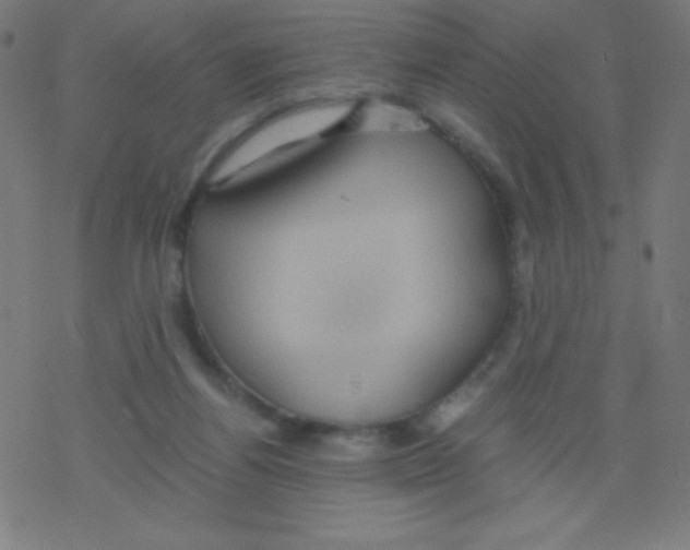 X0000078300164200612011843