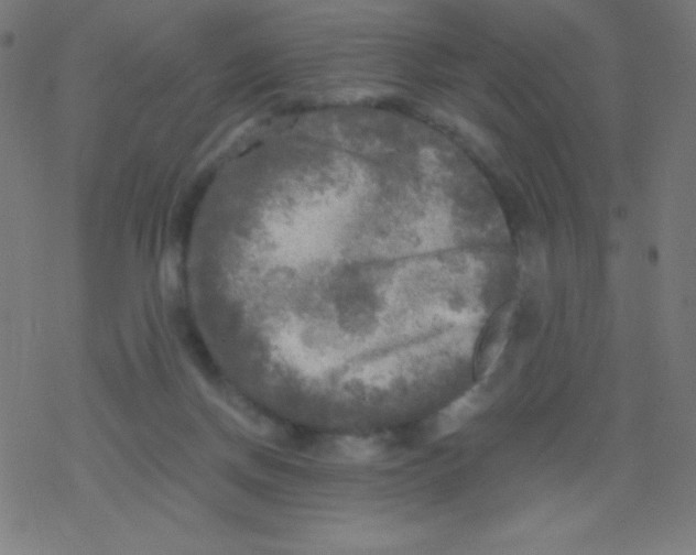 X0000078300166200612011843