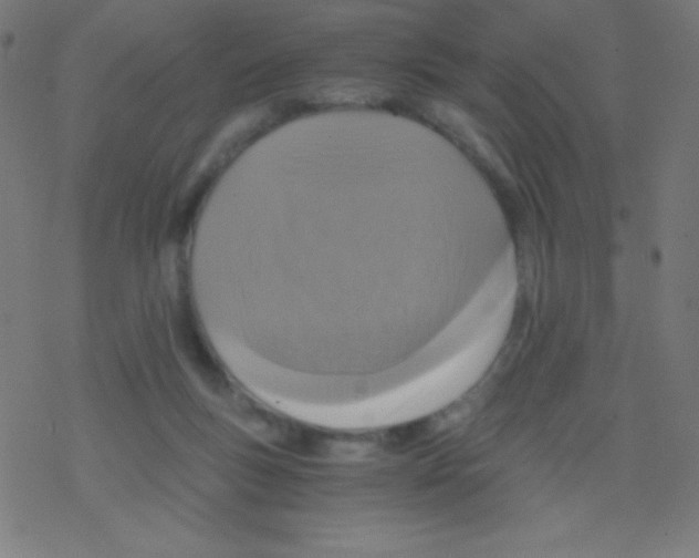 X0000078300167200612011843