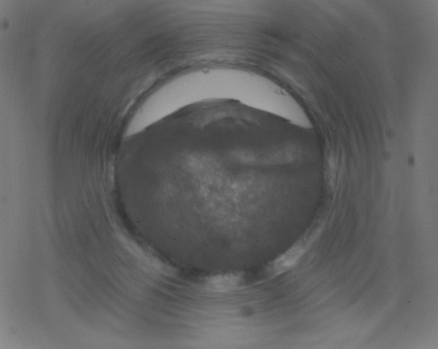 X0000078300168200612011843