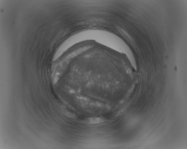 X0000078300169200612011843