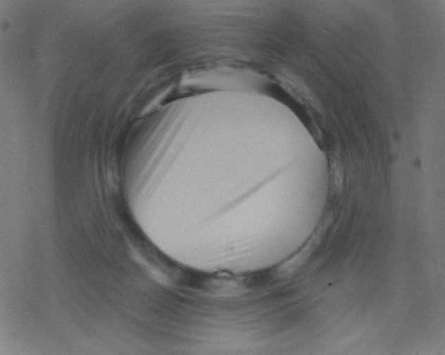 X0000078300170200612011843