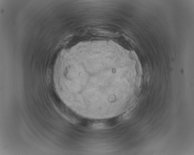 X0000078300171200612011843