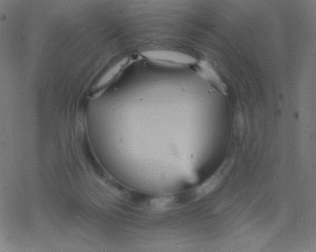 X0000078300172200612011843