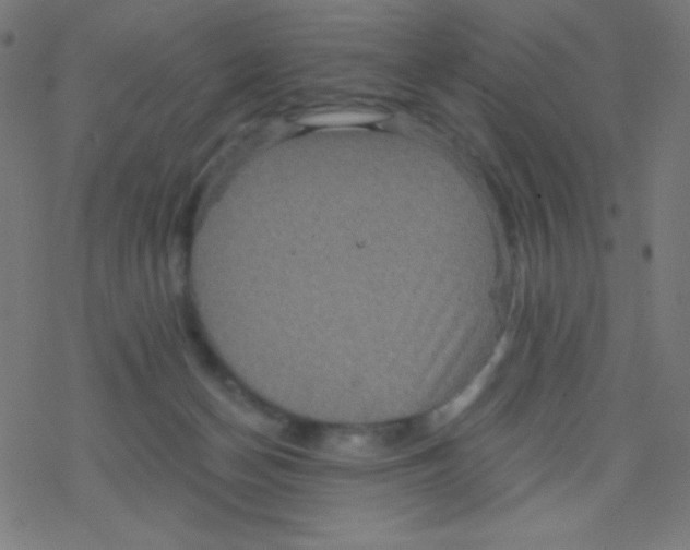 X0000078300174200612011843