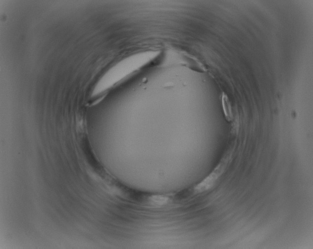 X0000078300176200612011843