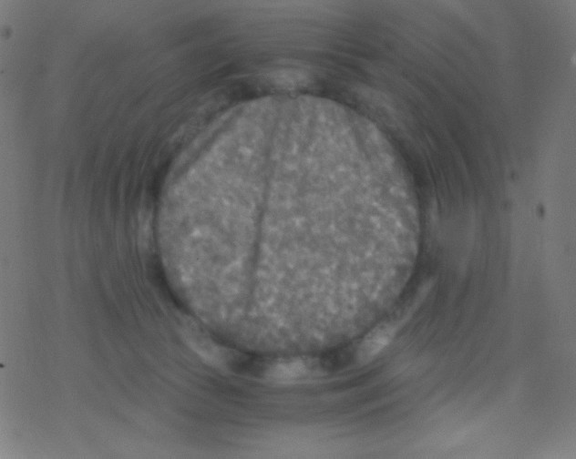 X0000078300177200612011843