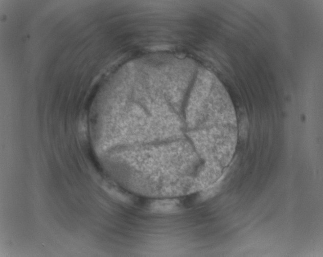 X0000078300179200612011843