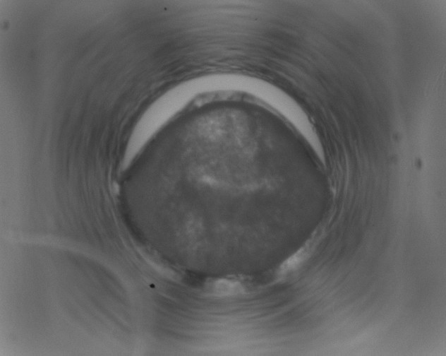 X0000078300180200612011844