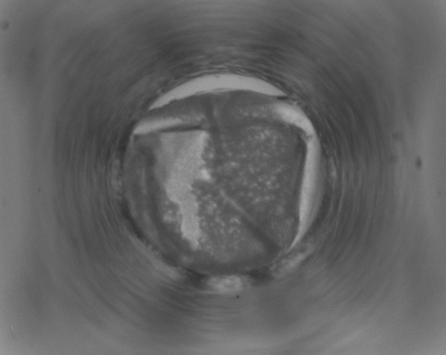 X0000078300181200612011844