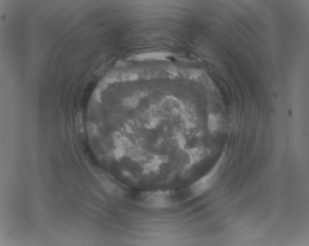 X0000078300182200612011844