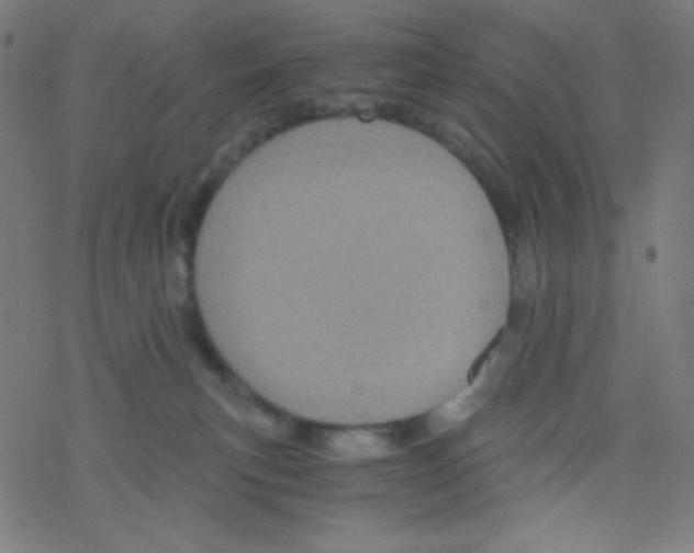 X0000078300183200612011844