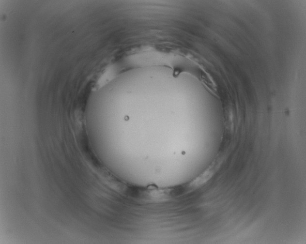 X0000078300184200612011844