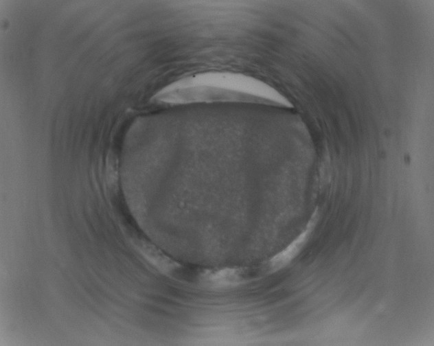 X0000078300186200612011844