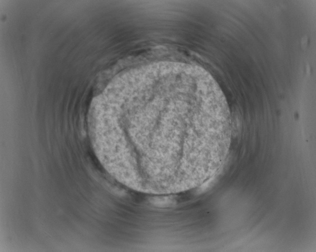 X0000078300187200612011844