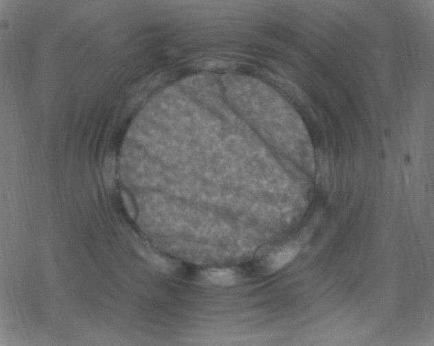 X0000078300189200612011844