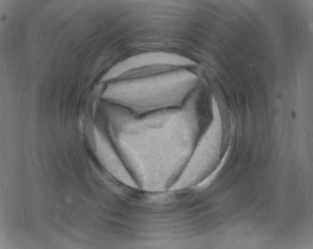 X0000078300190200612011844