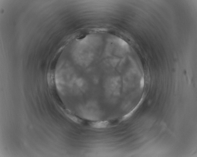 X0000078300191200612011844