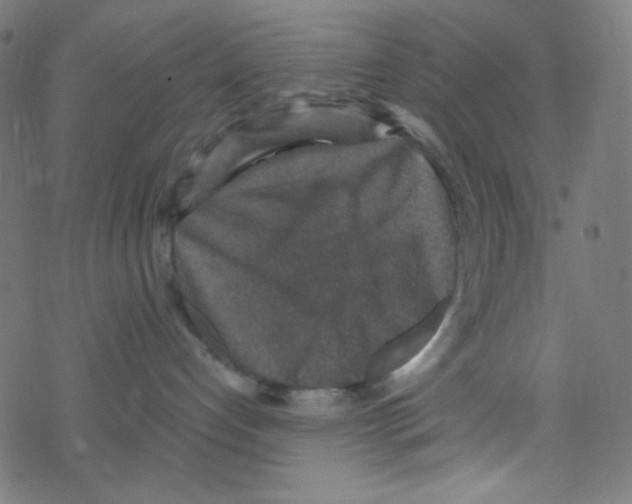 X0000078300192200612011844