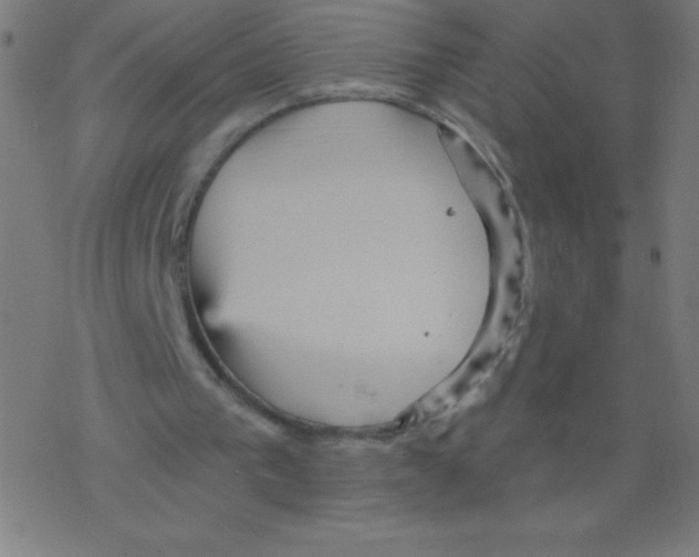 X0000078300193200612011843