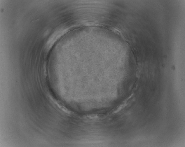 X0000078300194200612011843