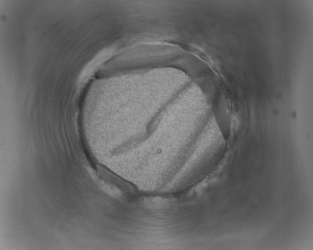 X0000078300197200612011843