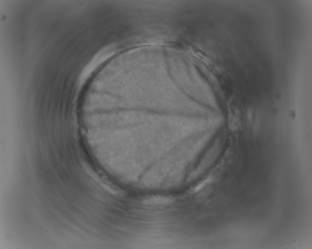 X0000078300198200612011843