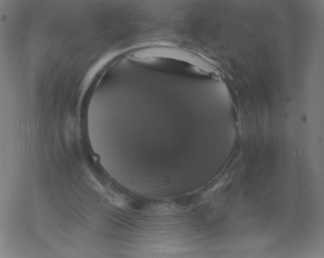 X0000078300200200612011843