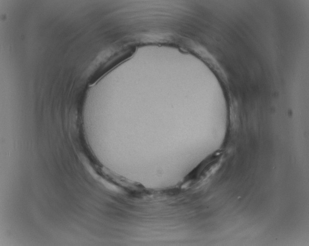 X0000078300201200612011843