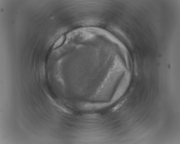 X0000078300202200612011843