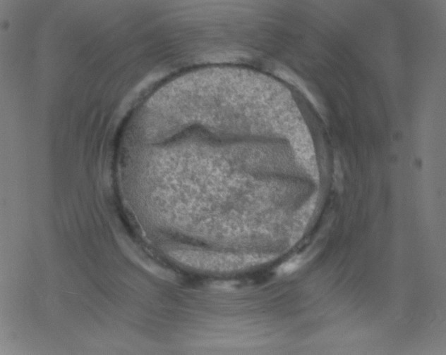 X0000078300203200612011843